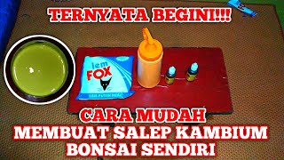 Cara Membuat Salep Kambium Sendiri Untuk Bonsai Mudah Banget!