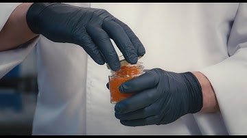 Muikun mädin pastörointi – Näin syntyy turvallinen ja laadukas elintarvike