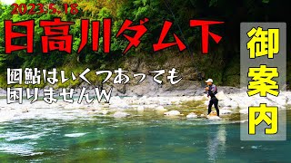 2023友釣り1発目は日高川ダム下