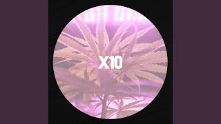 Ganja in My Brain - Extnt