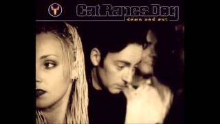 Watch Cat Rapes Dog Water video