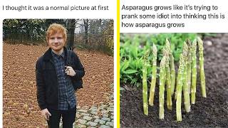 British Memes 31 🇬🇧 Asparagus grows like it's trying to prank some idiot