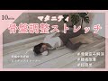 【10分マタニティー骨盤調整】寝たまま簡単！腰痛を和らげるストレッチ！