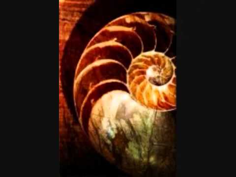 ‪The Fibonacci Sequence‬‏