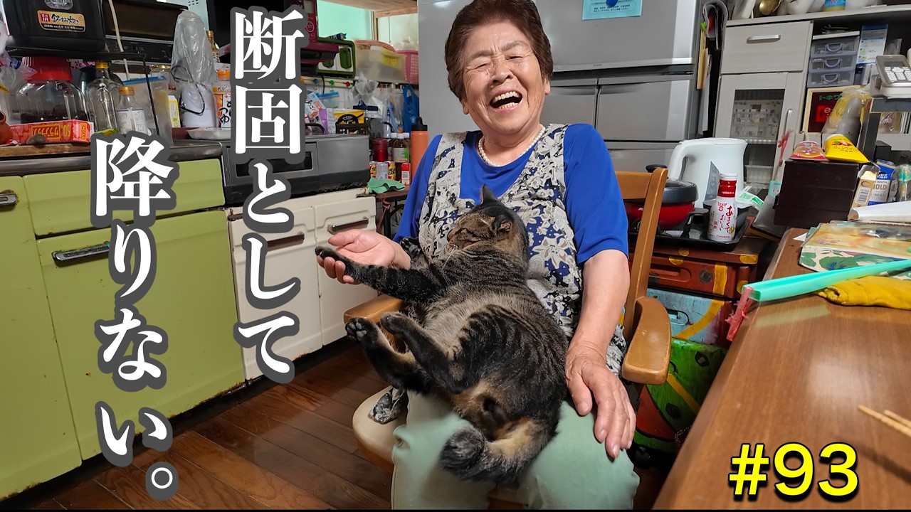 猫キヨ キヨと祖母】何が何でも祖母の膝から絶対に降りない猫、キヨ。 - YouTube