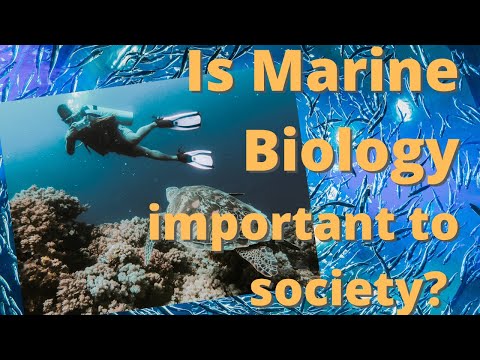 ชีววิทยาทางทะเลส่งผลกระทบต่อสังคมอย่างไร?