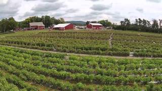 NY FARM BUREAU