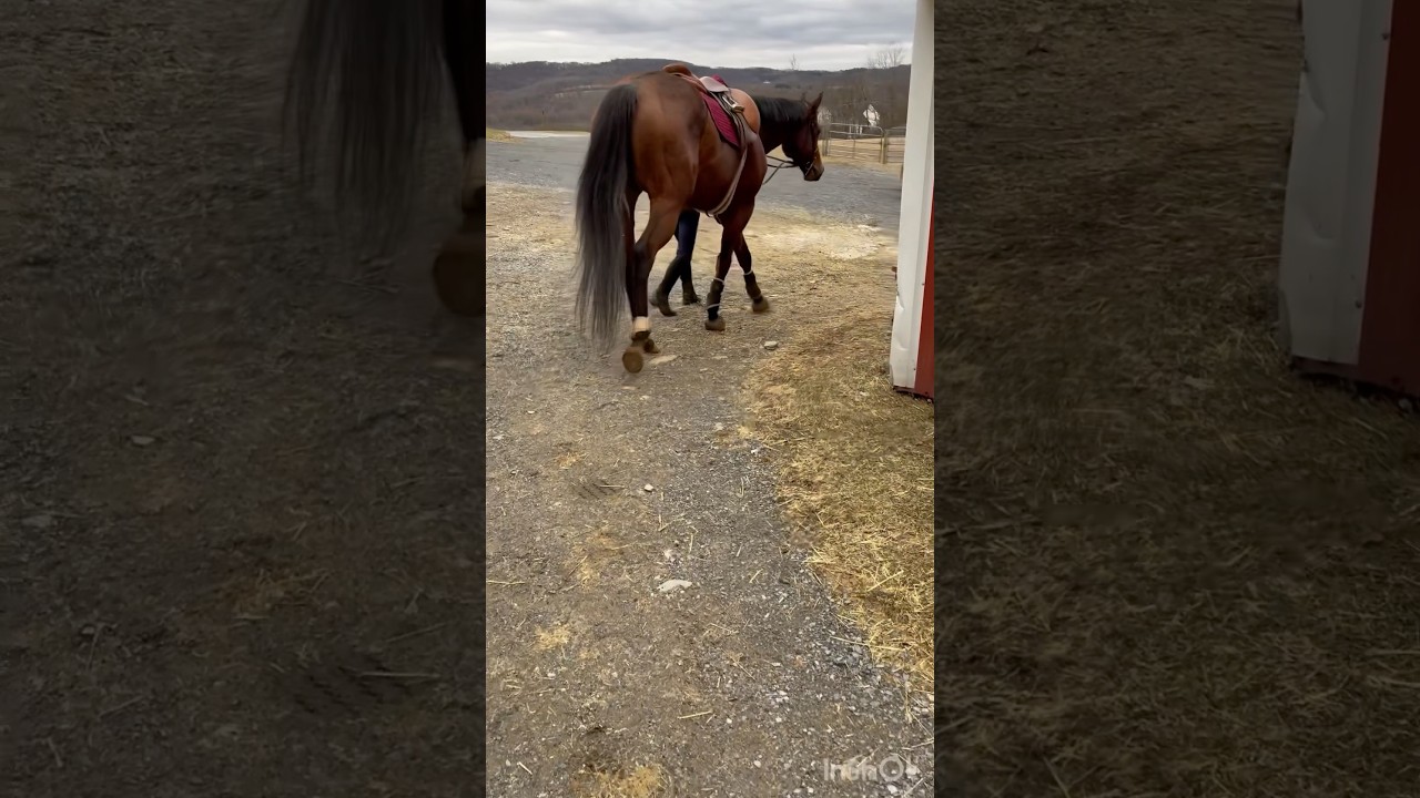 Diva Roy 🫶🏻✨💕 