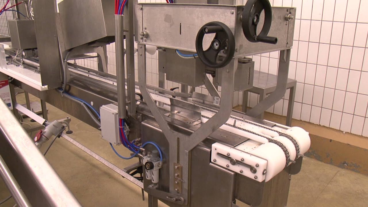 Szinte üres a kapuvári húsgyár