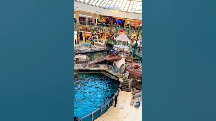 #calgary #reels #trending #kidsfunnyvideos #kidsvideo #canada #mall #tourism #famousplaces