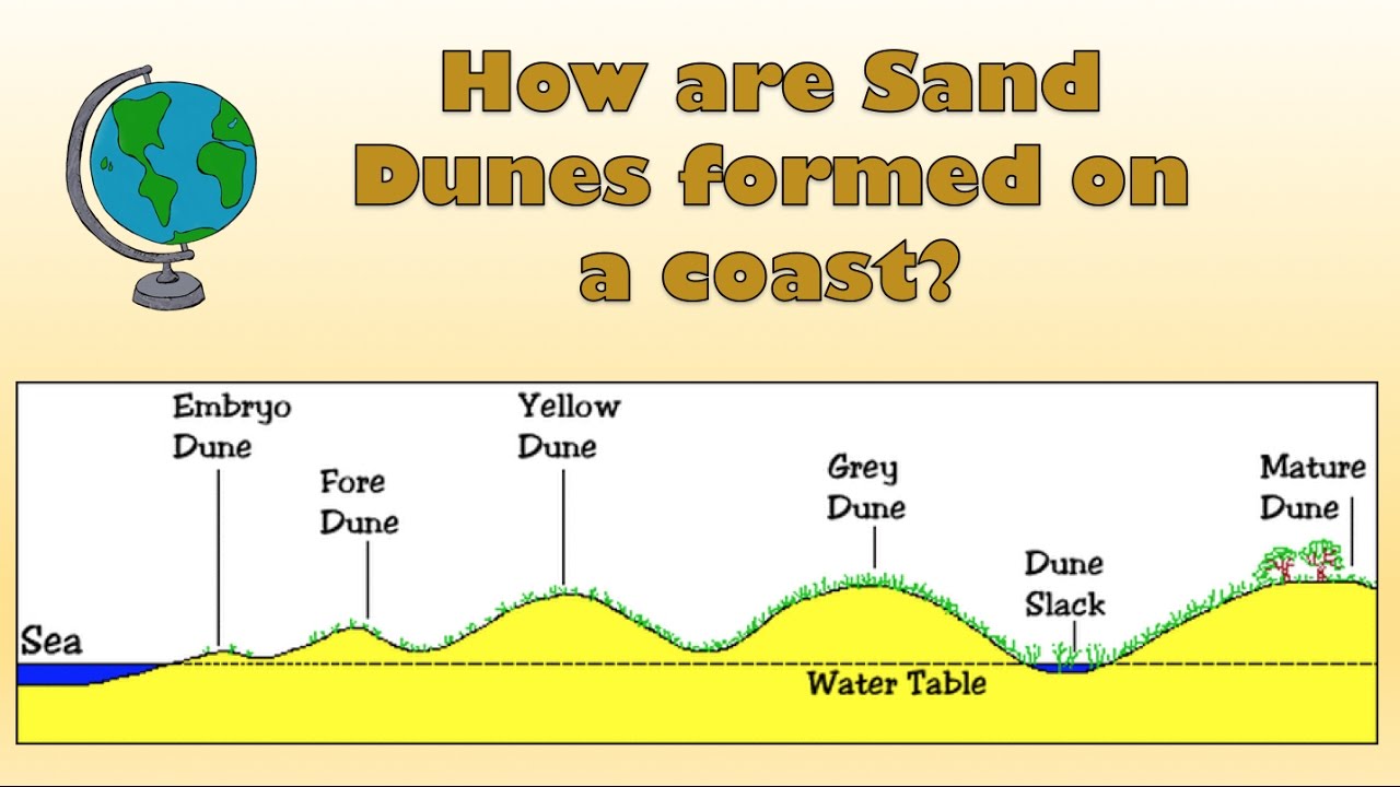 Sand dune, Definition, Formation, & Facts