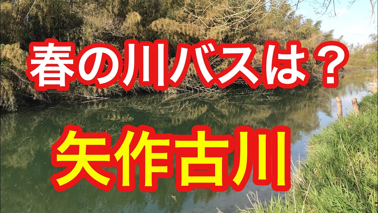 矢作古川 春の川バスは ブラックバス Youtube 矢作古川 春の川バスは ブラックバス Youtube