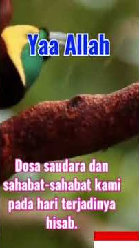 Suara Burung Merdu Relaxsasi Part4 #shorts
