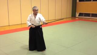 Aikido Jo Demonstration - The Basics for Beginners