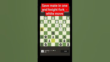 puzzle / save mate in one and knight fork  white to move / chess game  / chess match