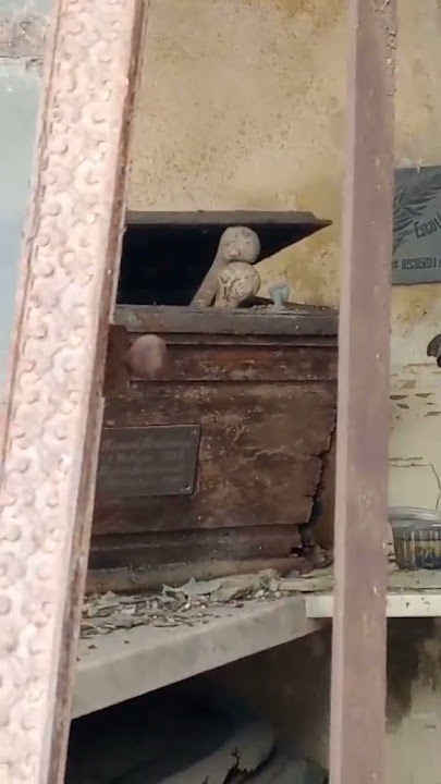 #cementerio #recoleta #morbo #miedo #terror#muerte#argentina #reels #shrts #viral