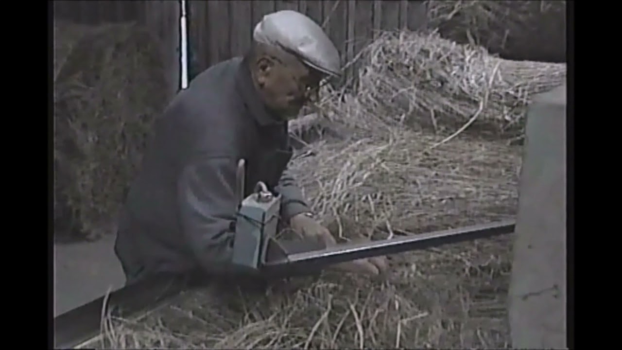 Vlasdorp Sint-Jan- Bentille . Jaar 2004