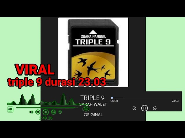 viral sp triple 9 durasi 23.03 by Sarah walet/swiftlet sound original class=