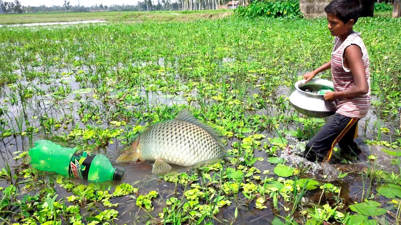 Amazing Fish Trap | Traditional Hook Fishing With Plastic Bottle | Fishing With Beautiful Natural