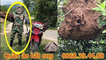 Bộ Quần Áo Bắt Ong Giá Rẻ|| Quần Áo Bảo Hộ Bắt Ong Rừng, Ong Đất Giá Tốt Nhất 2020