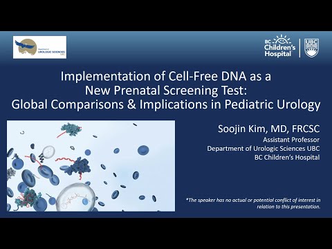Implementation of Cell-Free