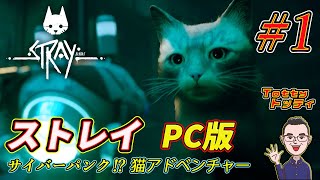 #1【サイバーパンク猫アドベンチャー】トッティの「Stray / ストレイ」PC版