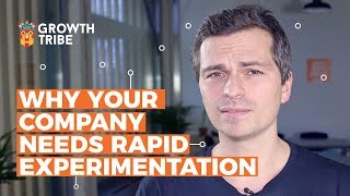Why Your Company Needs Rapid Experimentation Quality And Quantity