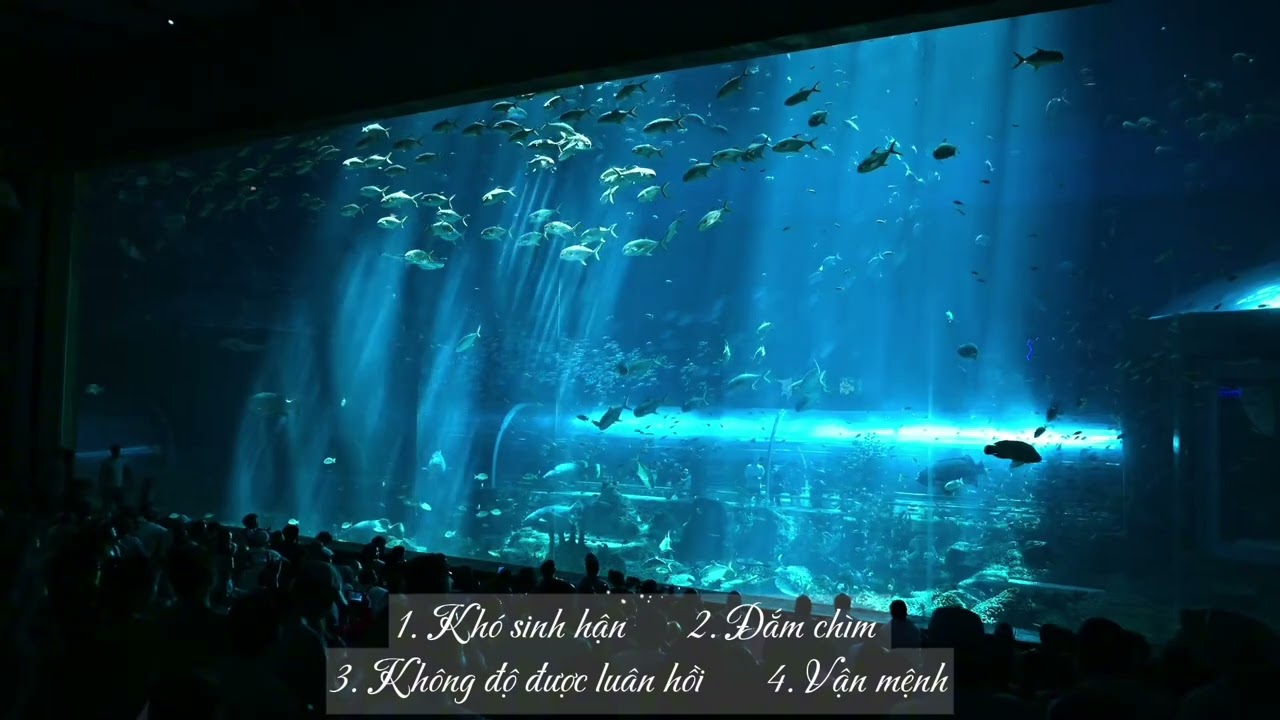 [Playlist] Khó sinh hận, Đắm chìm, ... 