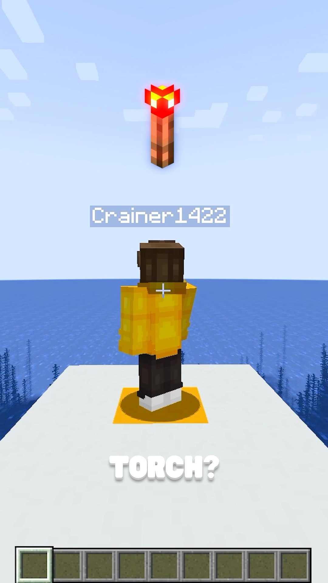 Guess The Minecraft Block in 60 seconds vs Crainer!