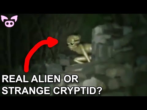Video: En Konstig UFO Skrämde Invånarna I West Virginia - Alternativ Vy