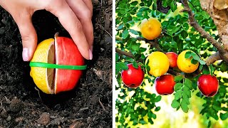 Easy Hacks to Grow Fruits And Vegetables Simple Tips for a Thriving Garden