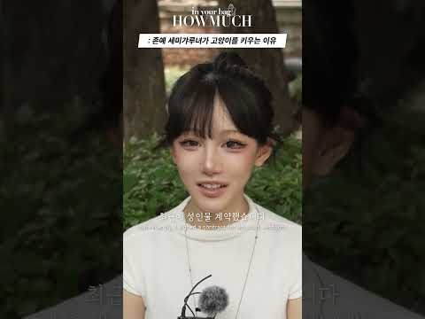존예 세미갸루녀가 고양이를 키우는 이유 #shorts thumbnail