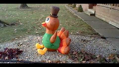 Inflatable turkey talking video