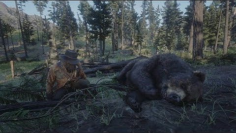Weapons Expert 10 - kill the Grizzly with a throwing knife without being hurt/taking damage in RDR2