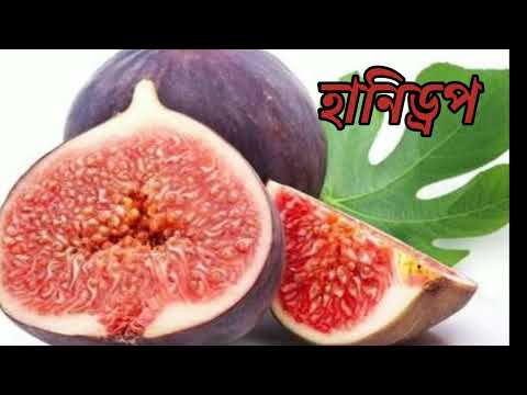 ভিডিও: সালাদের বিভিন্ন প্রকার: জাত এবং বর্ণনা