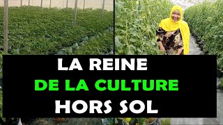 AGRICULTURE: Voici comment Adjaratou Sawadogo s'impose dans la culture Hors sol au Burkina Faso