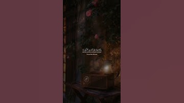 سورة الضحى #quran #اكسبلور #قرآن #duet #لايك #راحة_نفسية #عبدالباسط_عبدالصمد