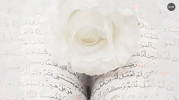 آيات من سورة البقرة :: القارئ ثامر الزير