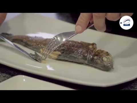 Vidéo: Comment mangent les poissons plats ?
