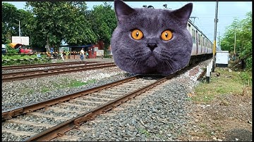 Fast & Furious Mad CAT Headed EMU Train Dangerous Moving Out At Railgate