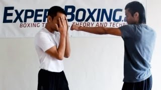 Boxing Self-Defense Techniques