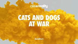 Cats and Dogs at War | CBS Reality | DStv