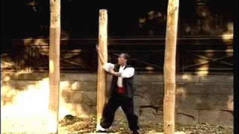 Du long Bát quái chưởng (Jiu long Baguazhang)