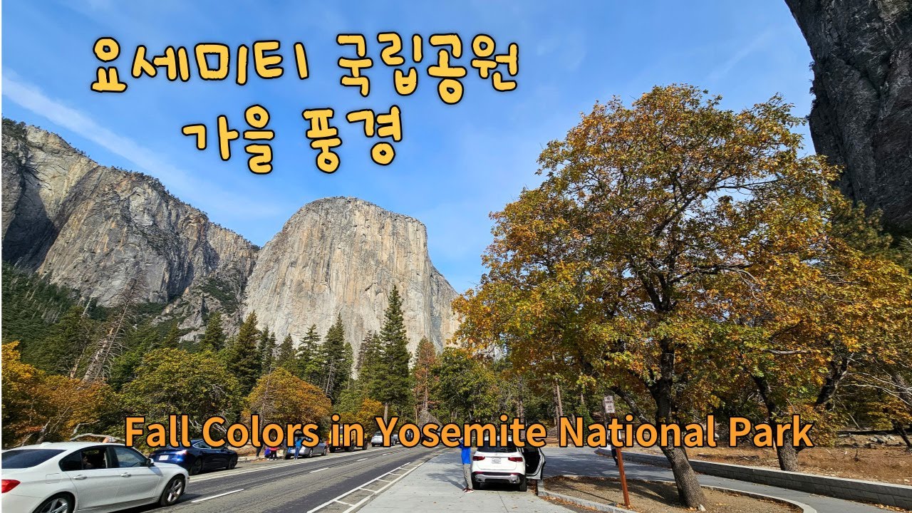 요세미티의 단풍 주요 숙박장소 해치 해치 저수지 탐방 Yosemite Fall Colors Curry Village Hatch Hatch Treasures of Yosemite