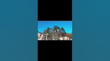 الشيخ احمد بن طالب 🤍سورة الأنعام 🖤