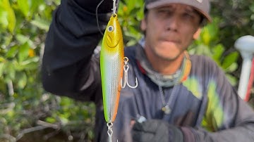 fishing an abandoned swamp full of alligators | NEW @luckyiscasartificiais Holographic Designs 