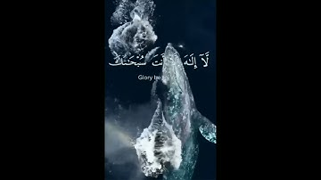 لا إله إلا انت سبحانك إني كنت من الظالمين /سوره الانبياء: القارئ اسلام صبحي