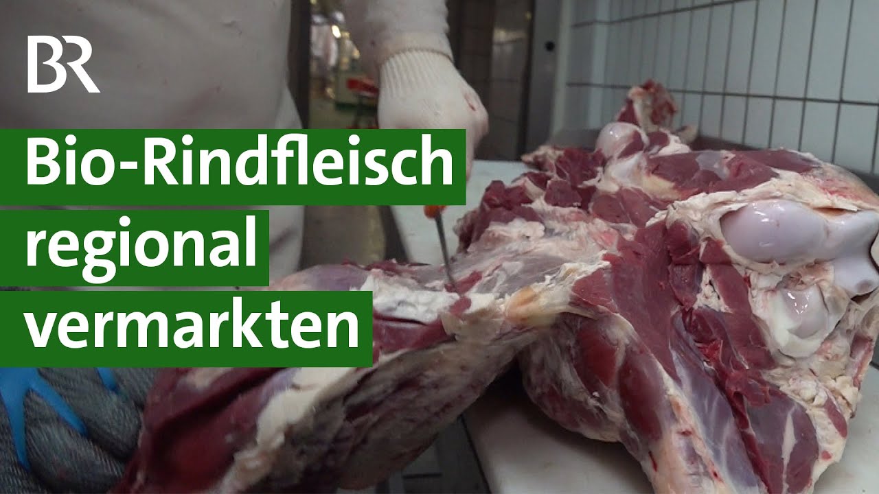 Beef Cuts Tutorial Bayerisches Rindfleisch g.g.A.