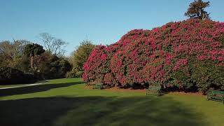 Easter has arrived at The Lost Gardens of Heligan