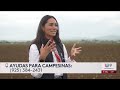 California celebra Día del Trabajador del Campo mientras enfrentan riesgos y bajos salarios